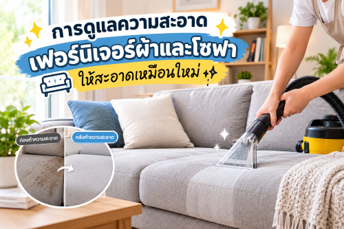 การดูแลความสะอาดเฟอร์นิเจอร์ผ้าและโซฟาให้สะอาดเหมือนใหม่